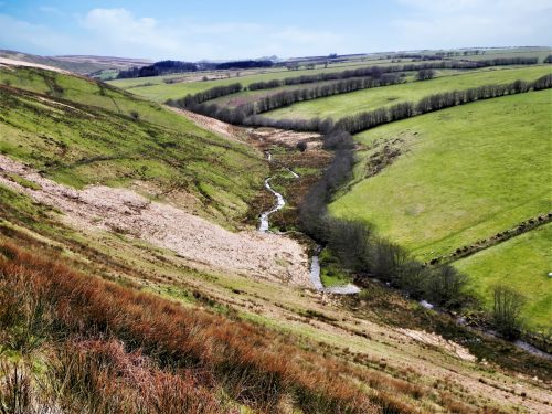 115.-Valley-below-Wintershead-Farm-2