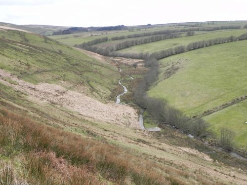 115.-Valley-below-Wintershead-Farm
