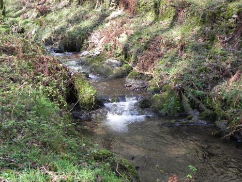 116.-Weir-downstream-from-ROW-Bridge-3332