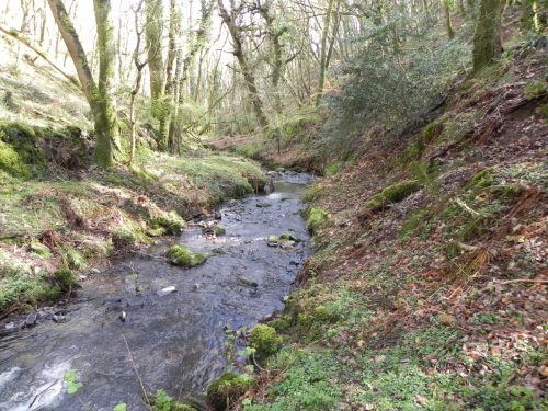 117.-Upstream-from-ROW-Bridge-3333
