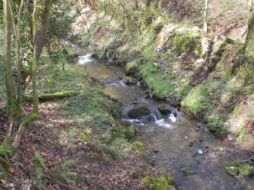 118.-Upstream-from-ROW-Bridge-3332