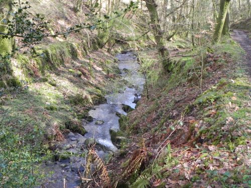 119.-Upstream-from-ROW-Bridge-3332