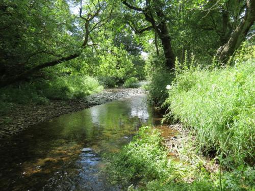 11a.-Flowing-below-Road-Castle-Earthwork-6