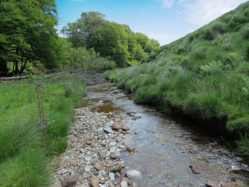 11a.-Upstream-from-Warrens-Bridge-25