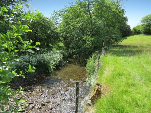 11b.-Flowing-past-Lyncombe-Wood-12