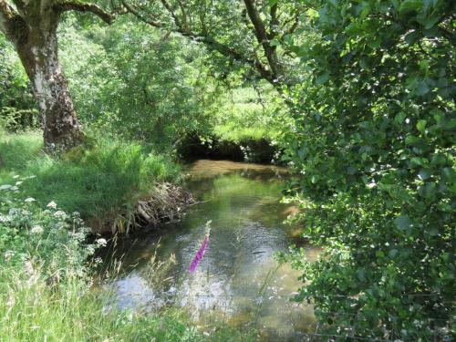 11b.-Flowing-past-Lyncombe-Wood-13