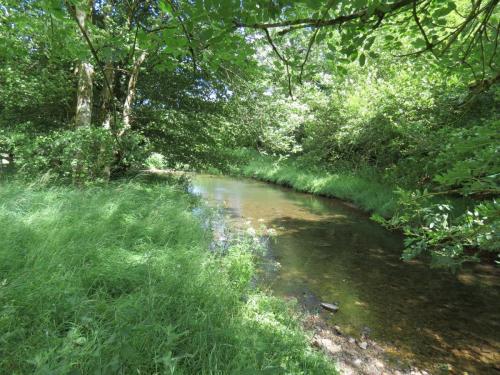 11b.-Flowing-past-Lyncombe-Wood-2