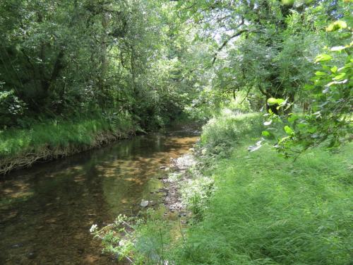 11b.-Flowing-past-Lyncombe-Wood-3