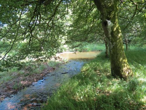 11b.-Flowing-past-Lyncombe-Wood-4