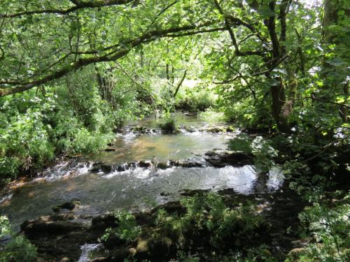 11b.-Flowing-past-Lyncombe-Wood-5