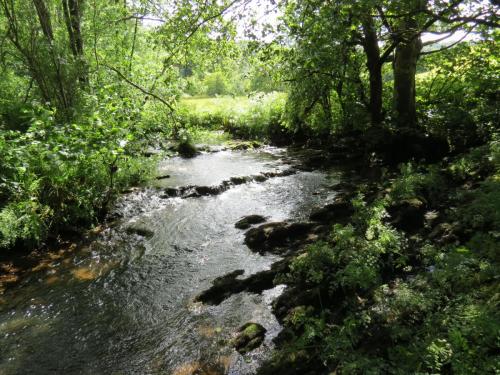 11b.-Flowing-past-Lyncombe-Wood-6