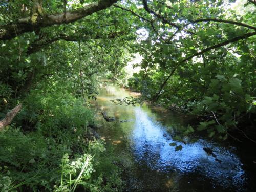 11b.-Flowing-past-Lyncombe-Wood-8