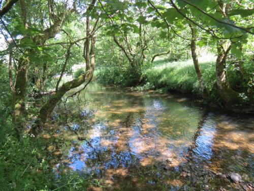 11b.-Flowing-past-Lyncombe-Wood-9