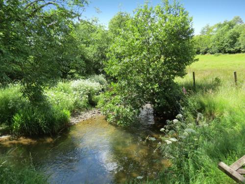 11c.-Flowing-past-Lyncombe-Wood-1