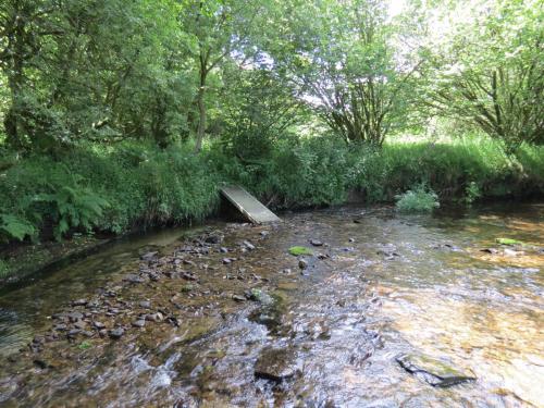 11c.-Flowing-past-Lyncombe-Wood-10