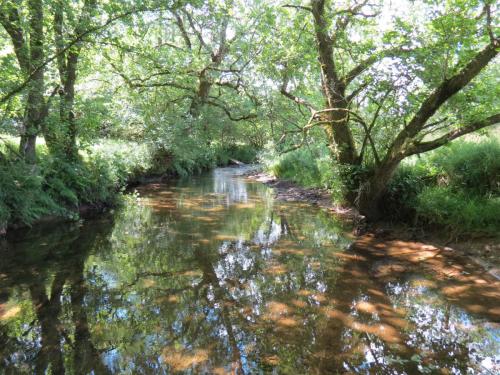 11c.-Flowing-past-Lyncombe-Wood-12