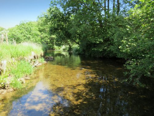 11c.-Flowing-past-Lyncombe-Wood-13