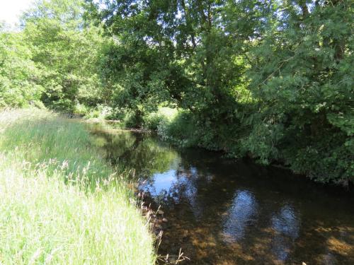 11c.-Flowing-past-Lyncombe-Wood-14