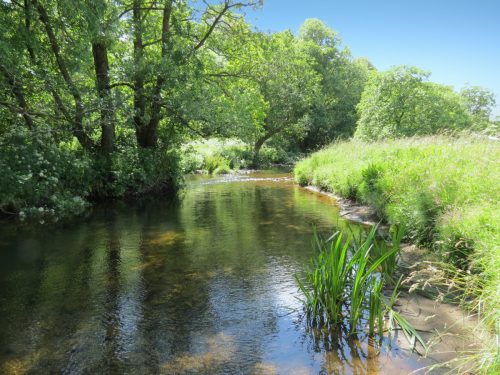 11c.-Flowing-past-Lyncombe-Wood-15
