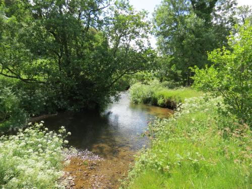 11c.-Flowing-past-Lyncombe-Wood-2