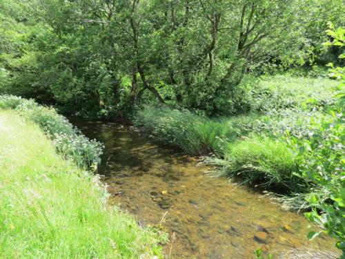 11c.-Flowing-past-Lyncombe-Wood-3