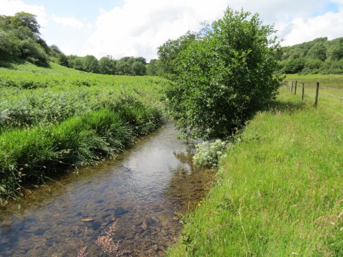 11c.-Flowing-past-Lyncombe-Wood-4
