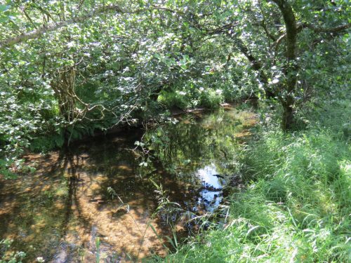 11c.-Flowing-past-Lyncombe-Wood-5