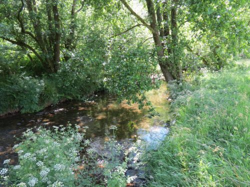 11c.-Flowing-past-Lyncombe-Wood-6