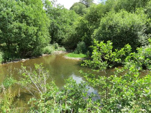 11c.-Flowing-past-Lyncombe-Wood-7