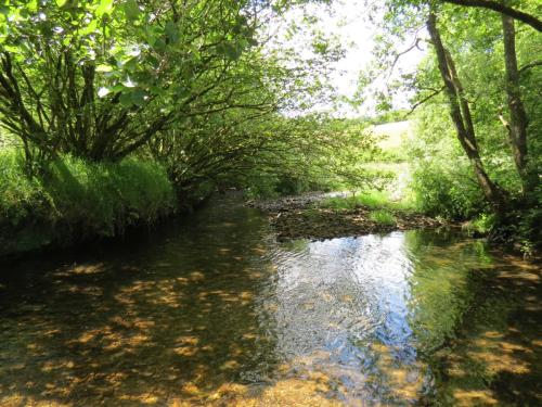 11c.-Flowing-past-Lyncombe-Wood-9