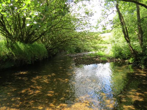 11c.-Flowing-past-Lyncombe-Wood-9