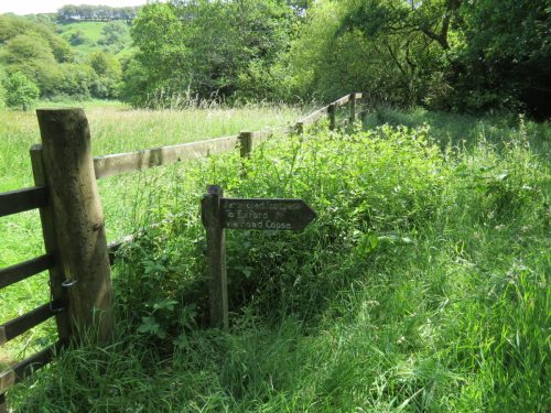 11c.-Upstream-from-Lyncombe-1