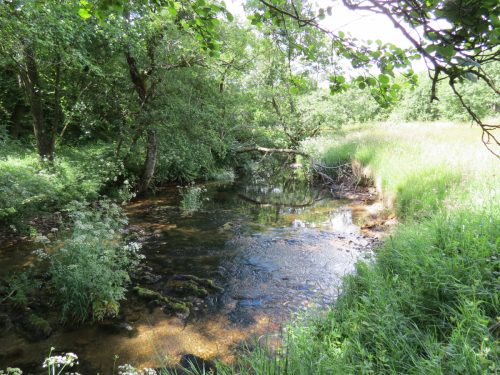 11c.-Upstream-from-Lyncombe-10