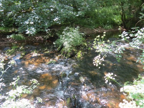 11c.-Upstream-from-Lyncombe-12