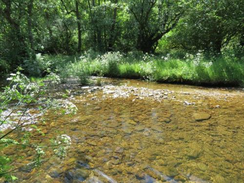 11c.-Upstream-from-Lyncombe-2