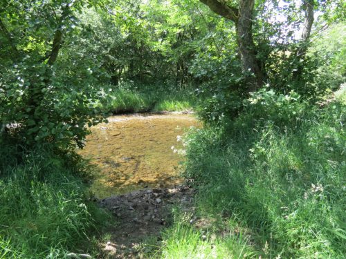 11c.-Upstream-from-Lyncombe-3