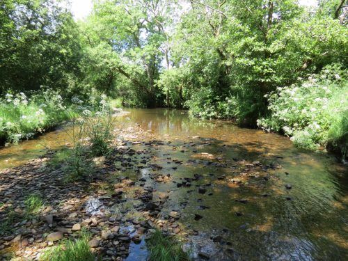 11c.-Upstream-from-Lyncombe-4
