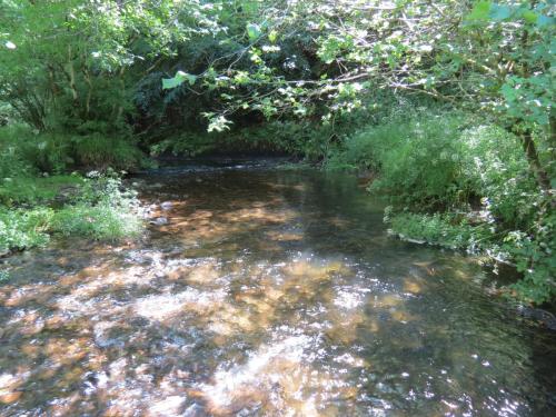 11c.-Upstream-from-Lyncombe-5