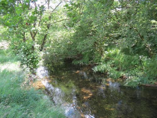 11c.-Upstream-from-Lyncombe-8