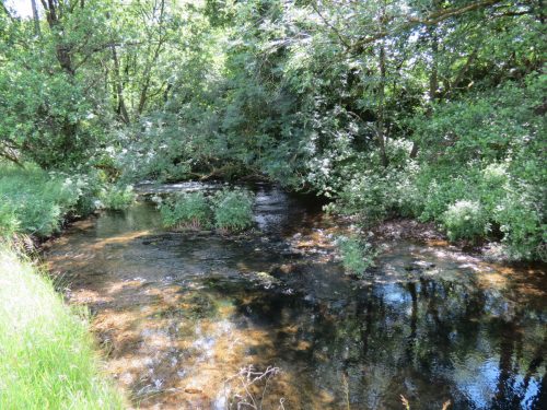 11c.-Upstream-from-Lyncombe-9