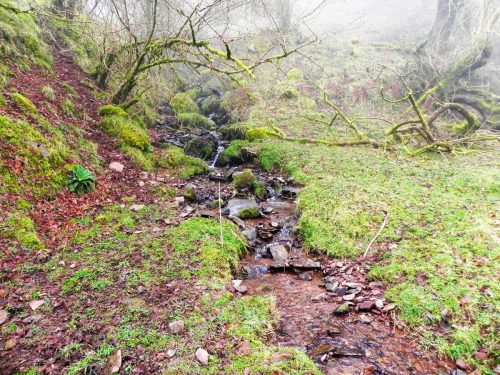 12-Waters-join-from-Sweetworthy-Combe-2