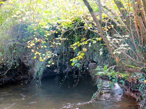 12.-Cothay-ROW-Footbridge-No.-5261-downstream-arch-2