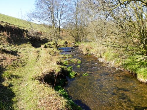 12.-Downstream-from-Cloggs-Farm-2
