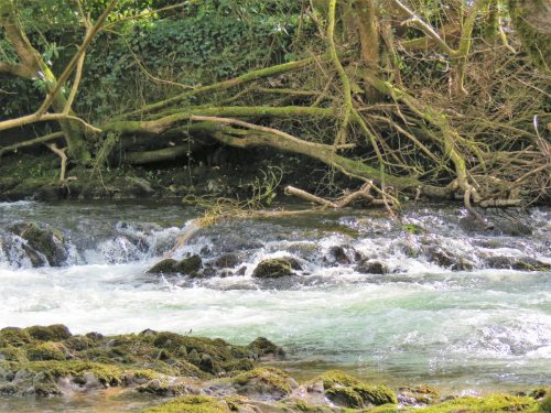 12.-Downstream-from-Dulverto-Weir-2