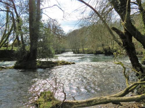 12.-Downstream-from-Dulverto-Weir-4