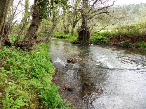 12.-Downstream-from-Dulverton-Mill-Leat-weir-2