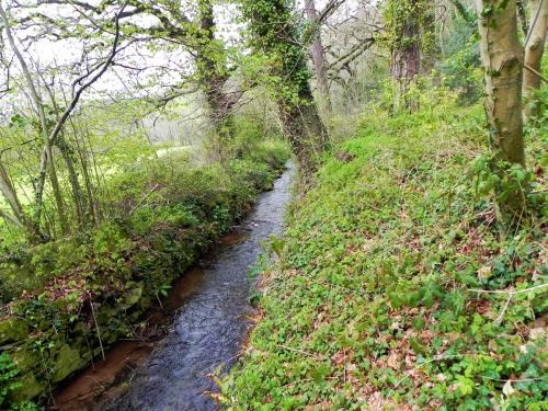 12.-Downstream-from-Dunster-Mill-Leat-Weir-2