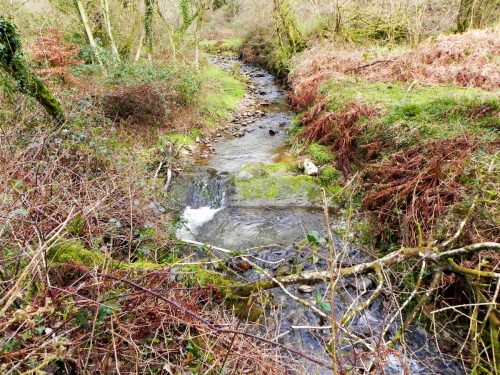 12.-Downstream-from-Langham-Wood-Ford-2