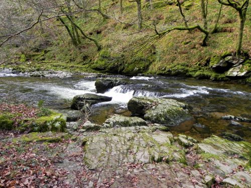 12.-Downstream-from-Myrtleberry-2