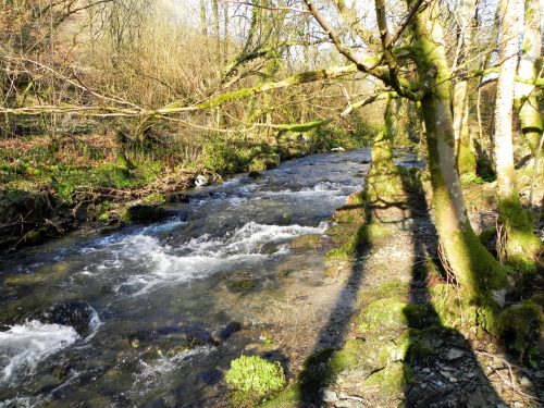 12.-Downstream-from-ROW-Bridge-2119-2